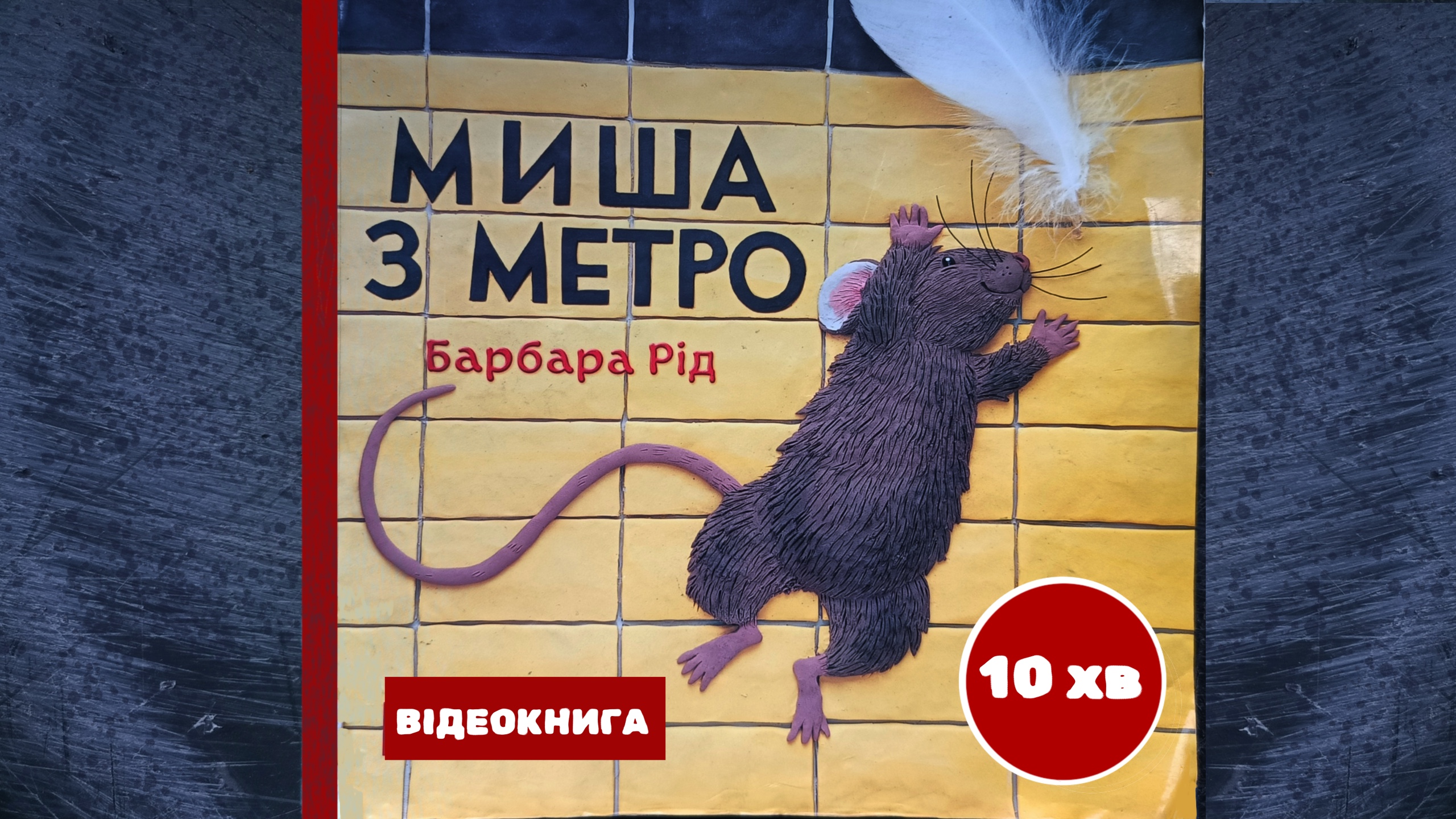 Перейти до: Миша з метро. Барбара Рід